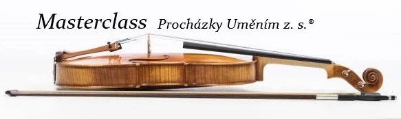 SPOLUPRÁCE MASTERCLASS, vilolin, viola  - Karlovy Vary